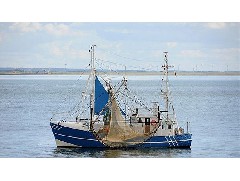 江门渔船建造厂：捕捉渔船区分哪些渔船？